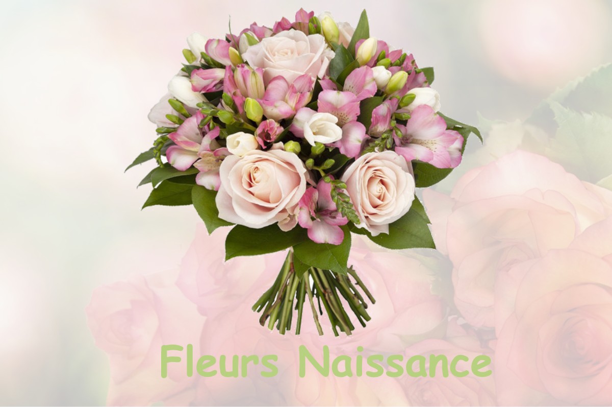 fleurs naissance BESSEY-LES-CITEAUX